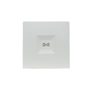 alt="LXDS Surface Emergency Downlight"