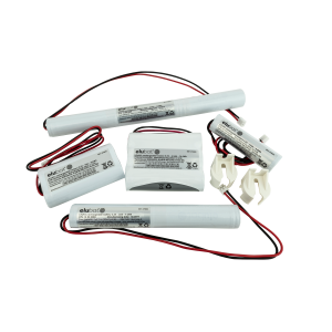 alt="elubat LiFePO4 Battery Examples"